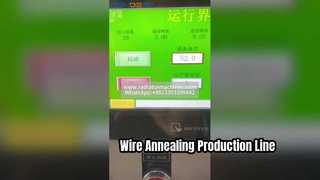 High-Efficiency Automatic Wire Annealing and Heat Treatment Production Line | Industrial Metal Solut